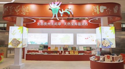 黔藥出山新窗口 貴州中藥材館常駐亳州，近400種道地藥材集中亮相